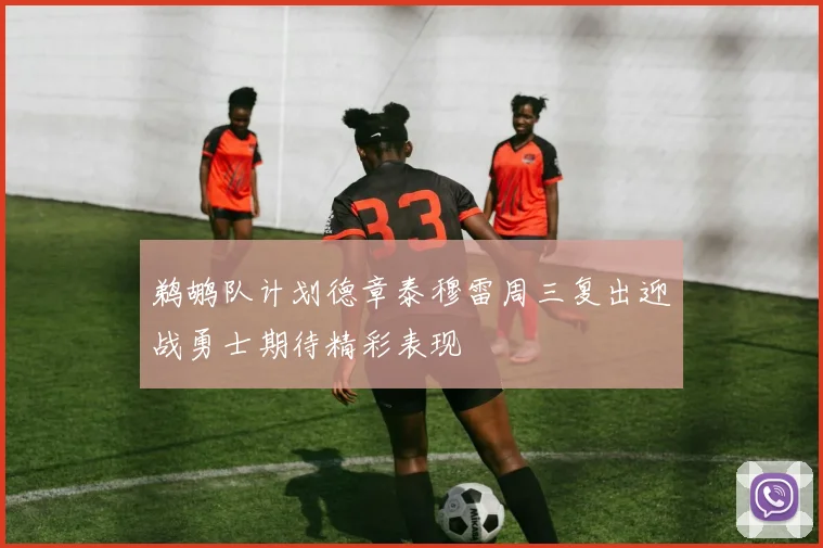 鹈鹕队计划德章泰穆雷周三复出迎战勇士期待精彩表现
